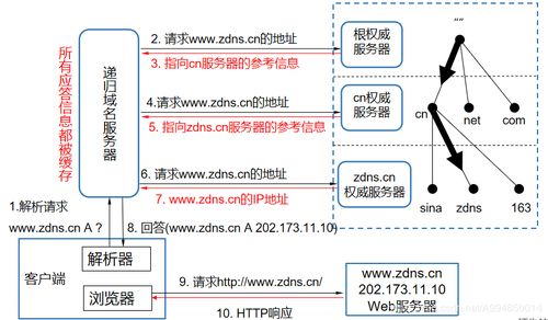 域名系統(tǒng)(DNS) 互聯(lián)網(wǎng)的“電話(huà)簿”——起源、原理與服務(wù)解析