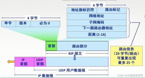 網(wǎng)絡(luò)層在計(jì)算機(jī)網(wǎng)絡(luò)開(kāi)發(fā)與服務(wù)中的關(guān)鍵作用